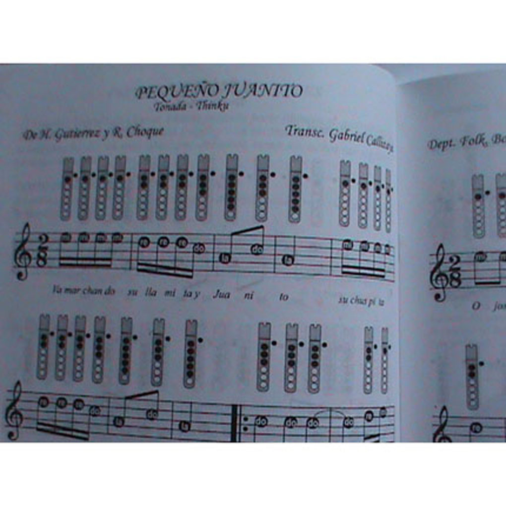 QUENA KENA FLUTE TUITION LESSONS SONG BOOK TUTORIAL TAB eBay
