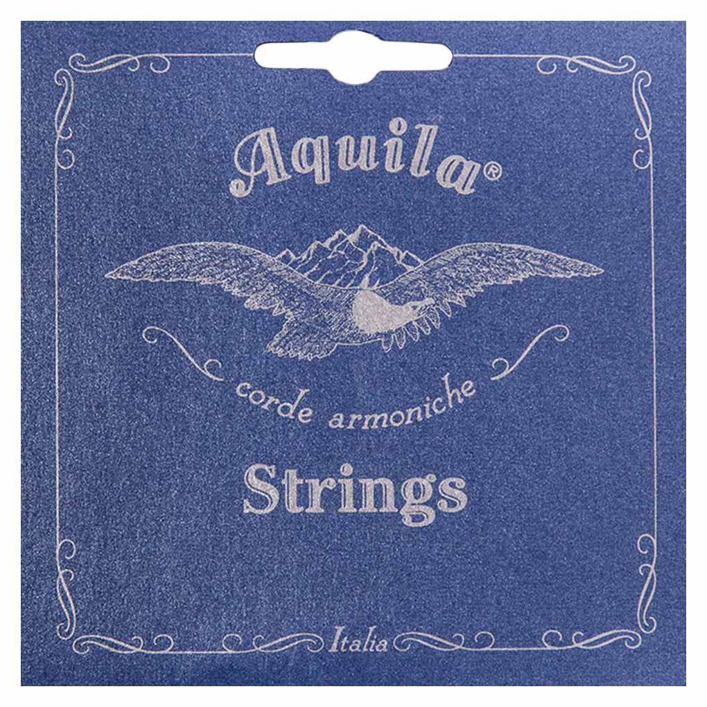 Aquila Rayon 800 Basses – Classical Guitar Bass Strings for Historical Guitar – 161C 1