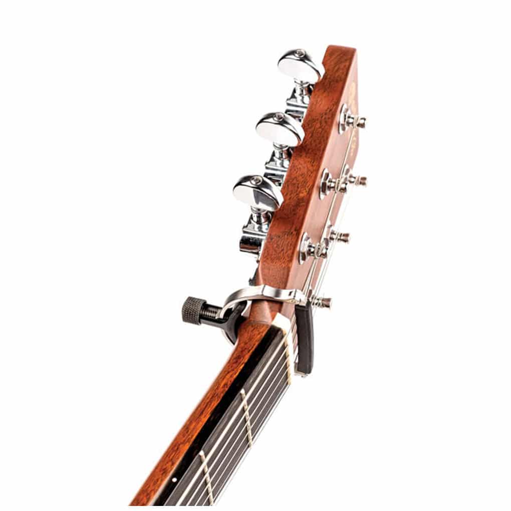 D’Addario – Cradle Capo – PW-CP-18 4