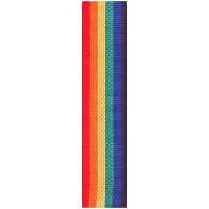 D’Addario – Planet Waves – Polypropylene Guitar Strap – Rainbow – PWS111 2