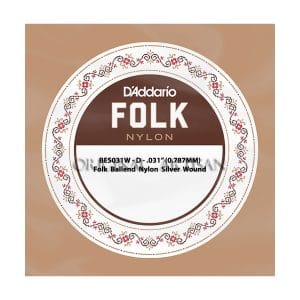 Folk Nylon Guitar Single String – D’Addario BES031W – Nylon Silver Wound – D – .031 (0