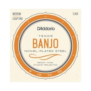 Tenor Banjo Strings - D'Addario EJ63 Tenor - Nickel Plated Steel - 9-30 - Loop End