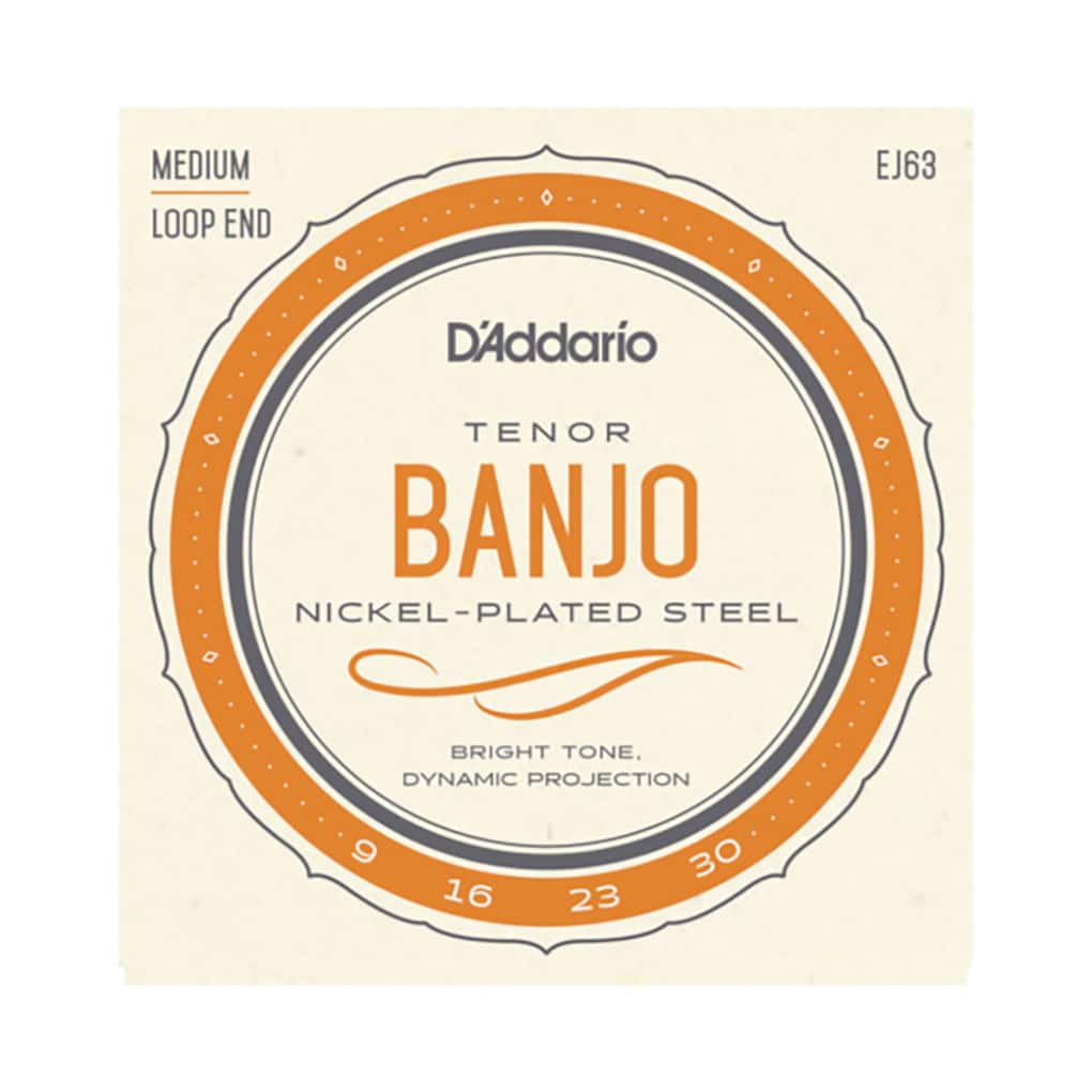 Tenor Banjo Strings – D’Addario EJ63 Tenor – Nickel Plated Steel – 9-30 – Loop End 1