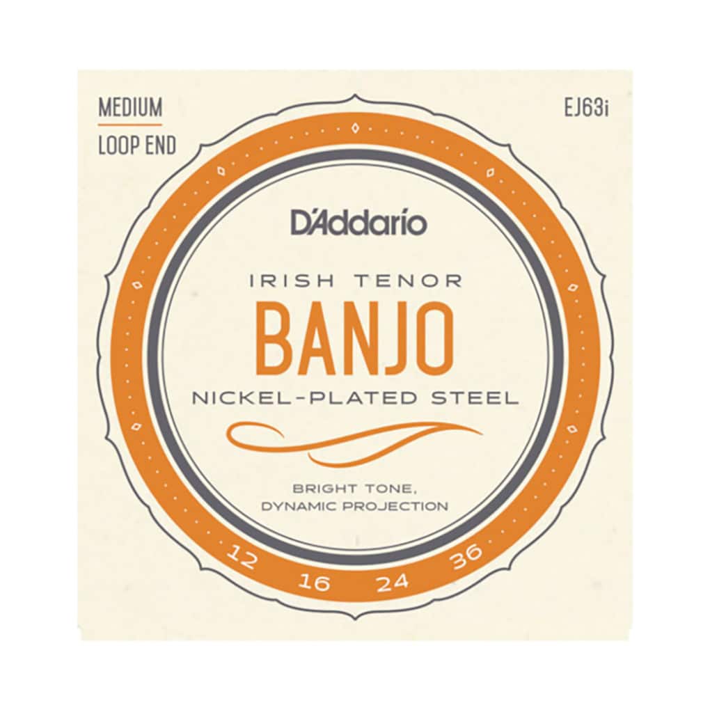 Irish Tenor Banjo Strings – D’Addario EJ63i – Nickel Plated Steel – 12-36 – Loop End 1