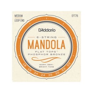 Mandola Strings – D’Addario EFT76 – Flat Tops – Phosphor Bronze – Medium – 16-53 – Loop End 1
