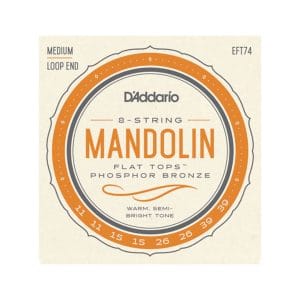 Mandolin Strings - D'Addario EFT74 - Flat Tops - Phosphor Bronze - Medium - 11-39 - Loop End
