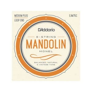 Mandolin Strings – D’Addario EJM75C – Monel – Medium Plus – 11-41 – Loop End 1