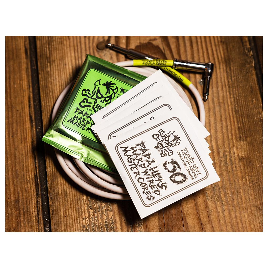 Electric Guitar Strings – Ernie Ball 2201 – James Hetfield Signature String Set – Papa Het’s Hardwired Master Cores – 11-50 5