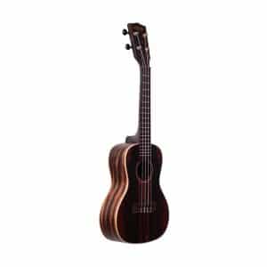 Kala KA-EBY-C Striped Ebony Concert Ukulele