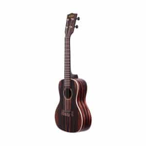 Kala KA-EBY-C Striped Ebony Concert Ukulele 3