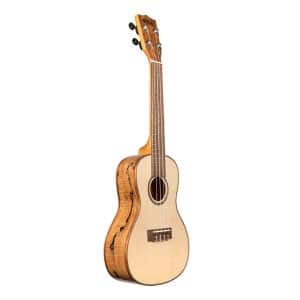 ukulele-kala-ka-fmcg-1-a